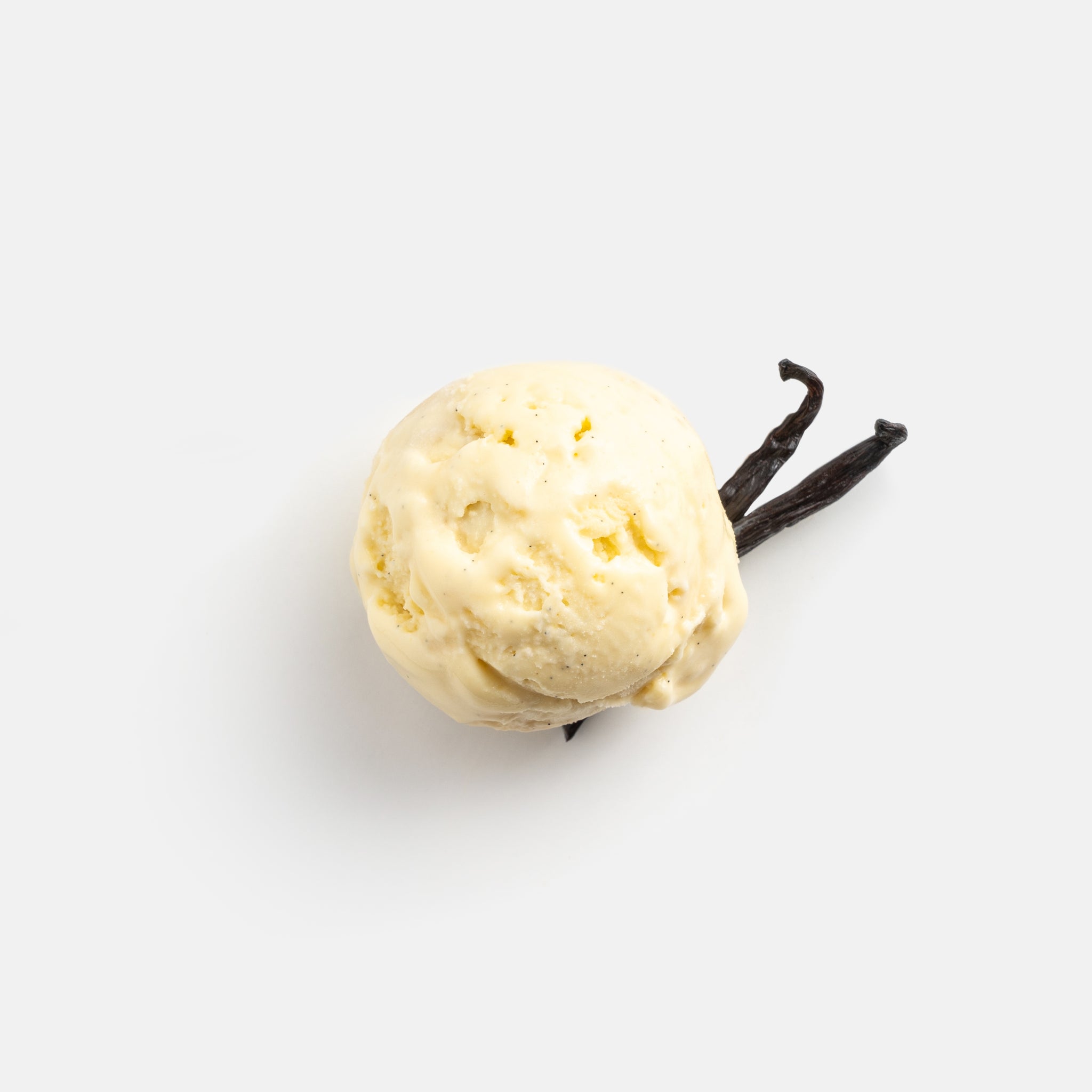 Pure Vanilla