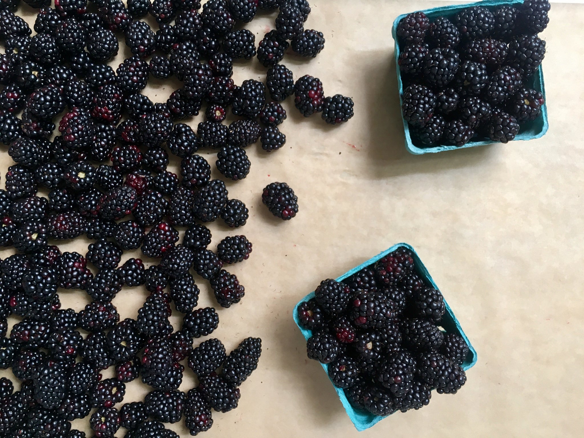 Chime Vegan Blackberry Crumble